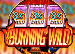 Burning Wild