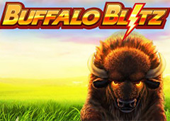 Buffalo Blitz