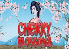 Cherry Blossoms