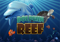 Dolphin Reef