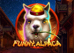 Funny Alpaca